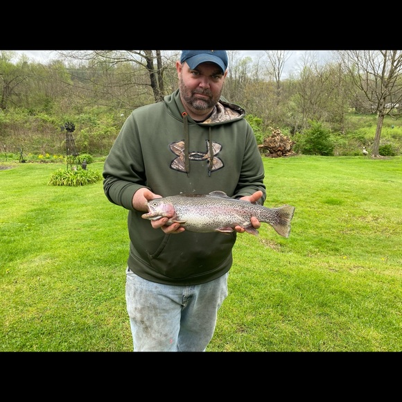 Meet your Posher, Michael - Picture 1 of 1